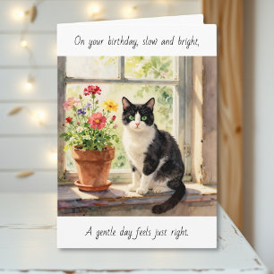 An Ihrem Geburtstag Katzen-Themen-Entspannungsta Karte