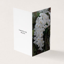 An Ihrem Hochzeitstag - weiße Orchideen