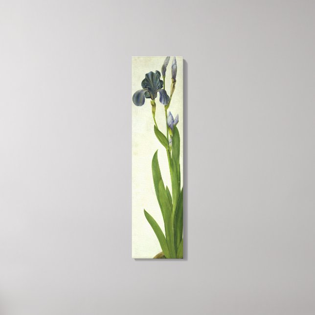 An Iris Leinwanddruck (Vorderseite)