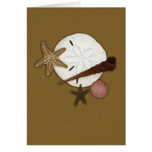 An Land gewaschen kardieren Sie