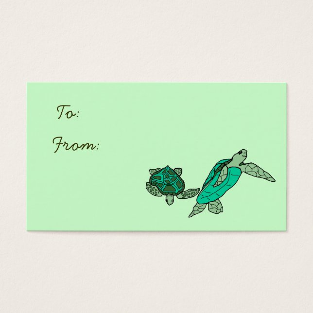 An Meeresschildkröten gehaltene Geschenkschildkröt (Vorderseite)