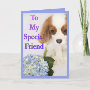 An meinen besonderen Freund Cavalier King Charles  Karte