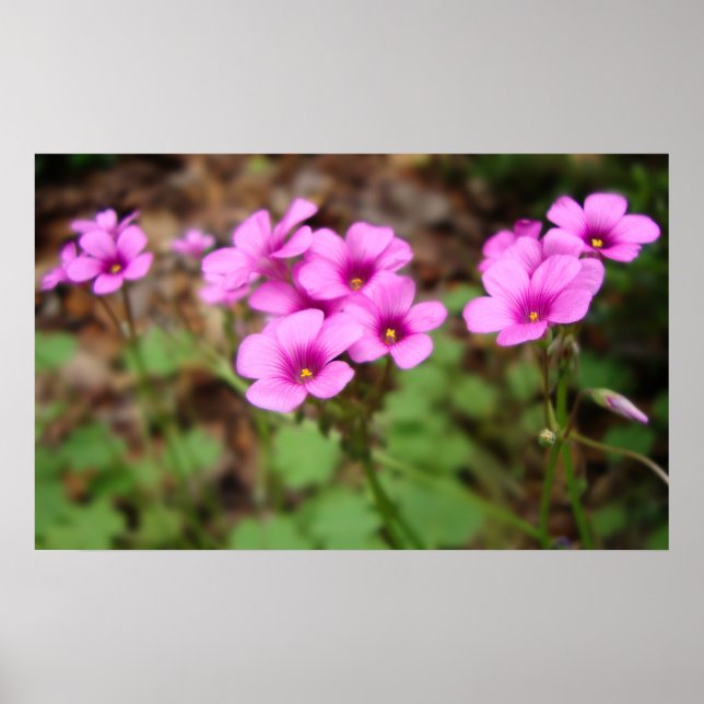 An meiner Türstufe drucken Poster (Vorne)