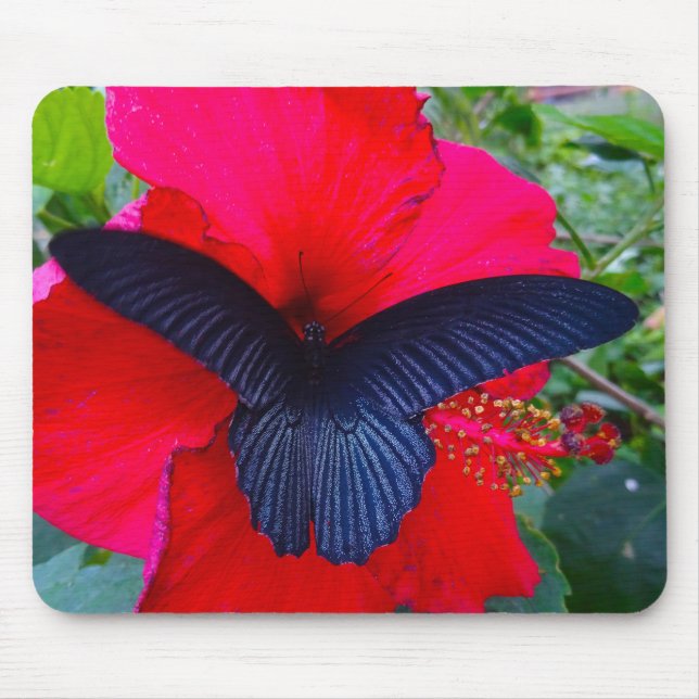 - An Schmetterling Mousepad süß nippen (Vorne)