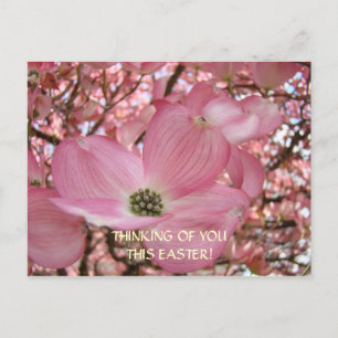 An Sie dieses Ostern denken! Postkarte Pinke Hartr