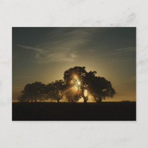 An solchen Morgens Postkarte