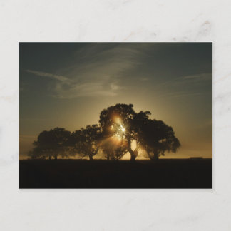 An solchen Morgens Postkarte