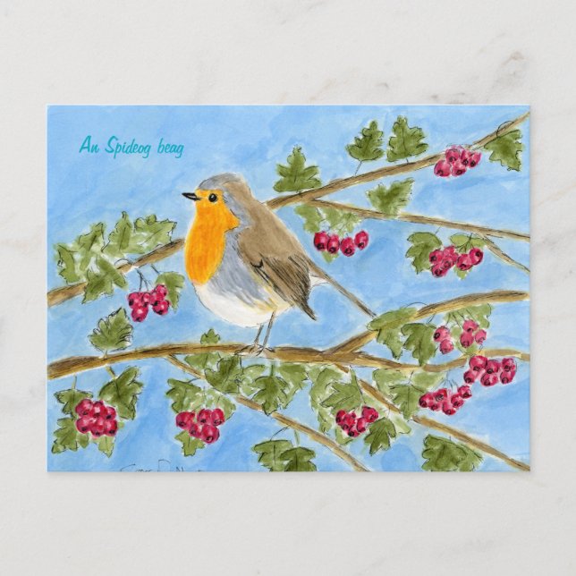An Spideog beag Postkarte (Vorderseite)