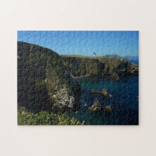 Anacapa-Insel-Panoramablick bei den Channel Island Puzzle