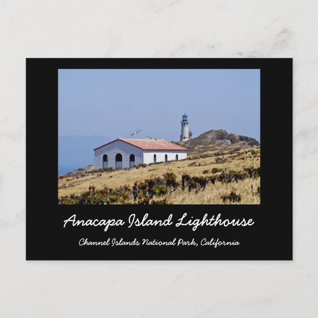 Anacapa Island Lighthouse Postkarte (Vorderseite)