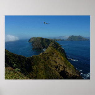 Anacapas Inspiration Point I auf den Channel Islan Poster