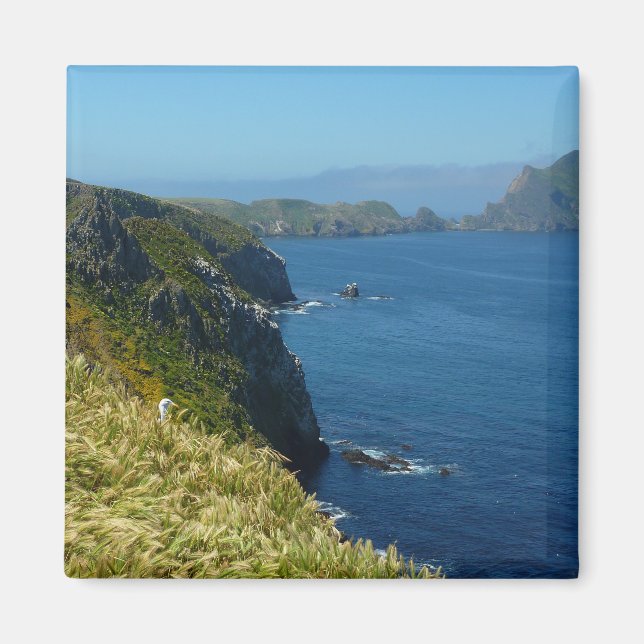 Anacapas Inspirationspunkt II auf den Kanalinseln Magnet (Vorne)