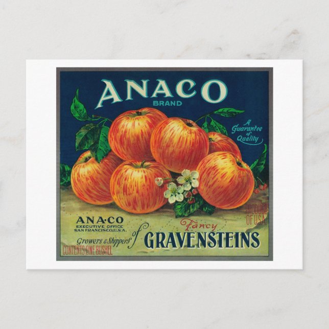 Anaco Apple Crate Label Postkarte (Vorderseite)