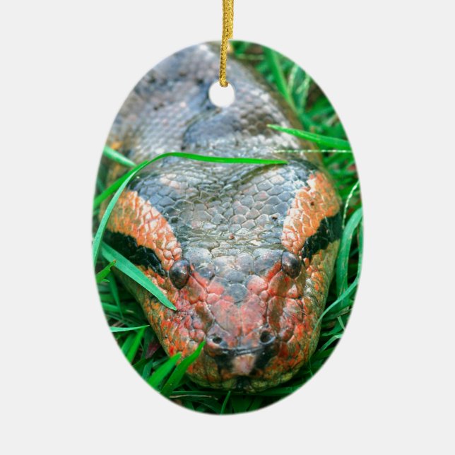 Anaconda-Schlange Keramikornament (Vorne)