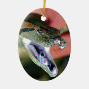 Anaconda Schlangenkiefer öffnen und große Fangzähn Keramikornament