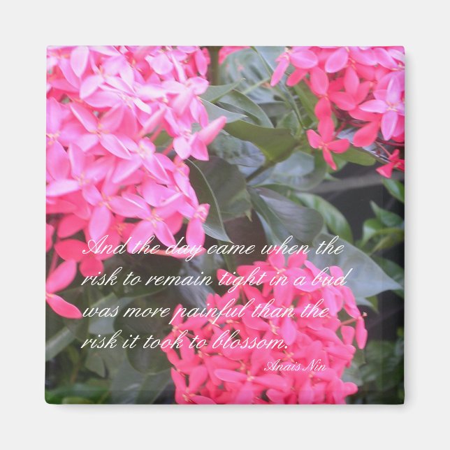 Anais Nin Motivierend Quotation Magnet (Vorne)