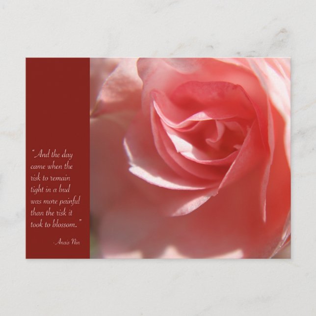 Anais Nin Quote Postcard in Rosa Postkarte (Vorderseite)