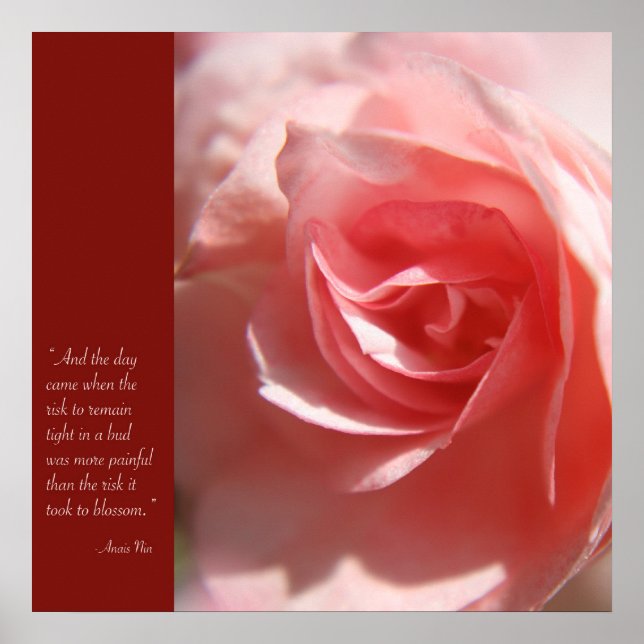 Anais Nin Quote Poster in Pink (Vorne)