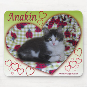 Anakin zwei Legende Katze Ladybug Herz KittyMousep Mousepad