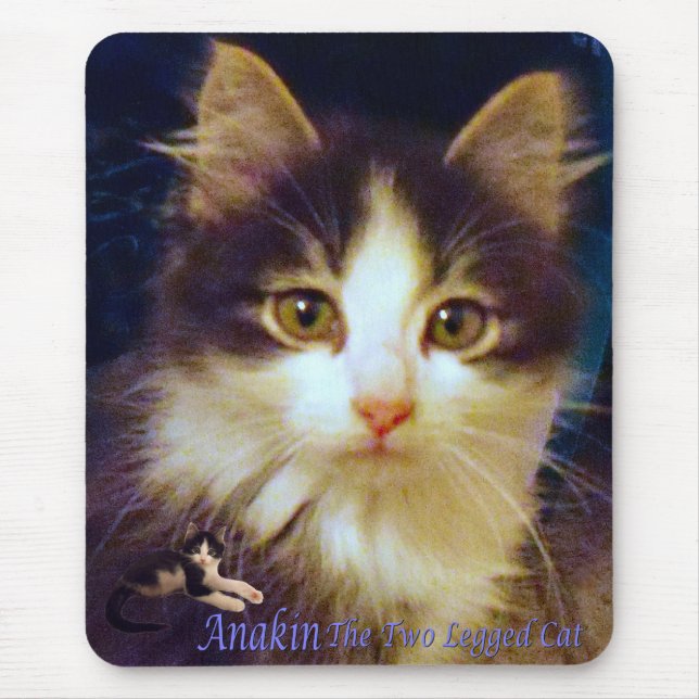 Anakin zwei mit Beinen versehene Katzen-niedliche Mousepad (Vorne)