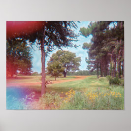 Analog Fairy Forest Print Poster