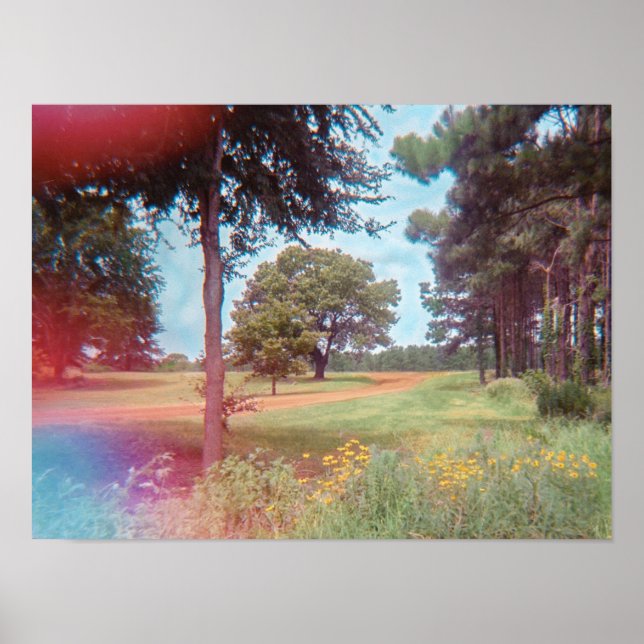 Analog Fairy Forest Print Poster (Vorne)