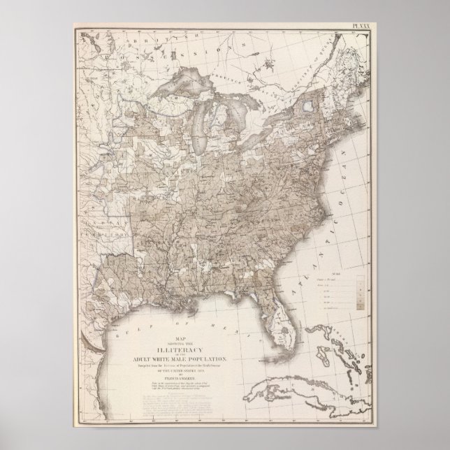 Analphabetismus bei Weißen Poster (Vorne)