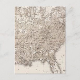 Analphabetismus bei Weißen Postkarte