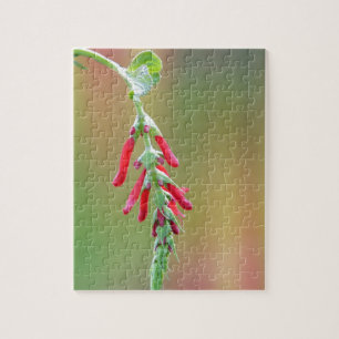 Ananapfelblüte Puzzle