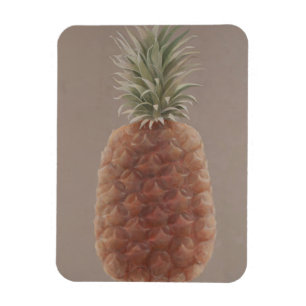 Ananas 2012 magnet