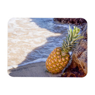Ananas auf Felsen am Strand Magnet