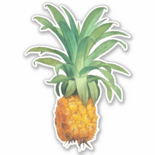 Ananas Aufkleber