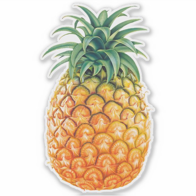 Ananas-Aufkleber Aufkleber (Vorderseite)