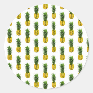 Ananas-Aufkleber Runder Aufkleber
