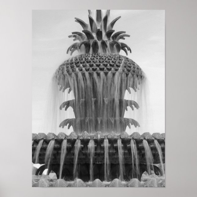 Ananas beruhigen poster (Vorne)