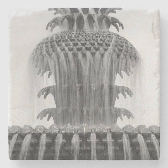 Ananas beruhigen steinuntersetzer (Vorderseite)