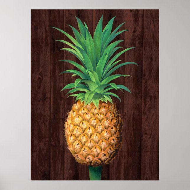 Ananas Botanische Illustration gegen Mahogany Poster (Vorne)