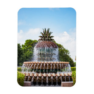 Ananas-Brunnen in Charleston, SC Magnet