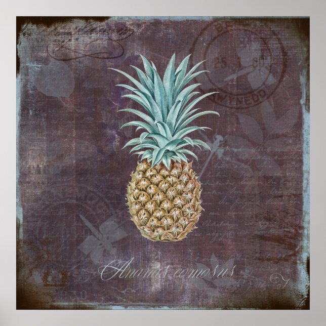 Ananas comosus poster (Vorne)
