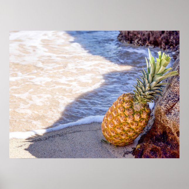 Ananas, die sich am Strand auf Felsen lehnen Poster (Vorne)