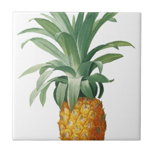 Ananas Fliese