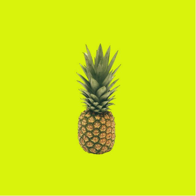 Ananas Freistehende Fotoskulptur (Vorne)