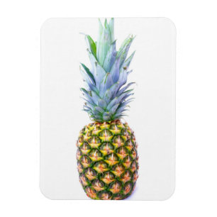 Ananas Frucht Strand Dessert Bunt Tropisch Magnet