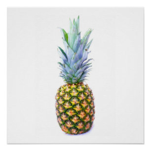 Ananas-Frucht-Strand-Nachtisch-buntes tropisches Poster
