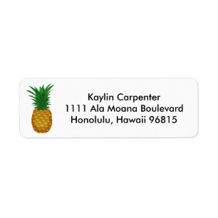 Ananas-Gastfreundschaft