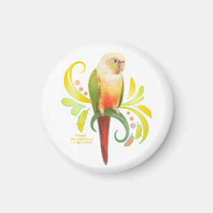 Ananas Grüne Wange Conure Magnet