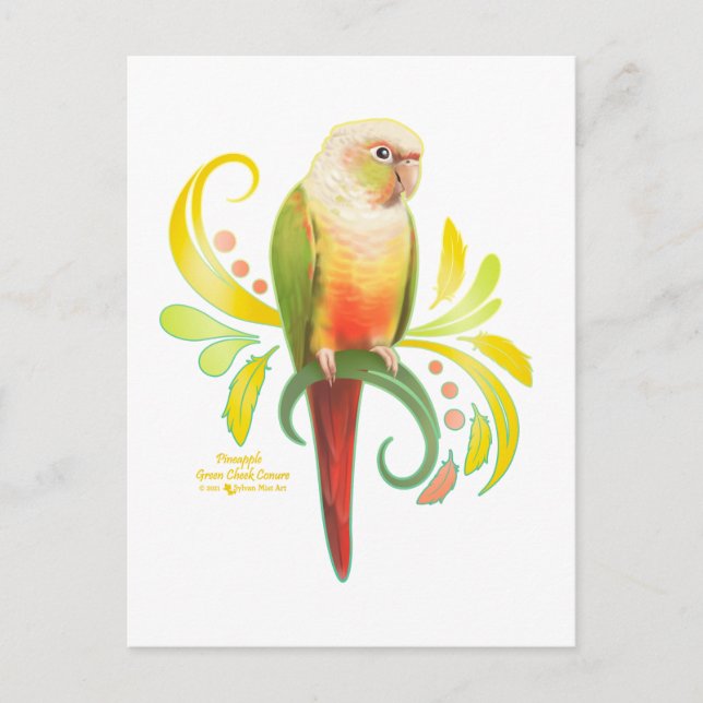 Ananas Grüne Wange Conure Postkarte (Vorderseite)