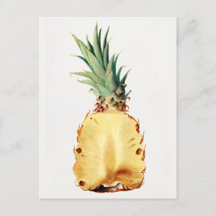 Ananas halbiert, Frucht, Aquarellmalerei Postkarte