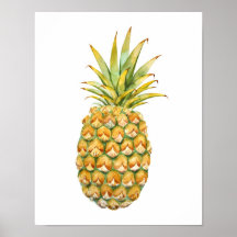 Ananas-Illustrationspaket