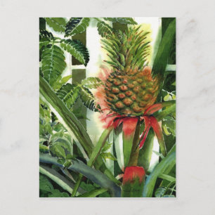 Ananas im Dschungel Postkarte